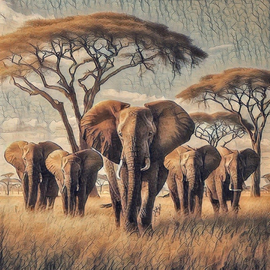 Elephant Herd